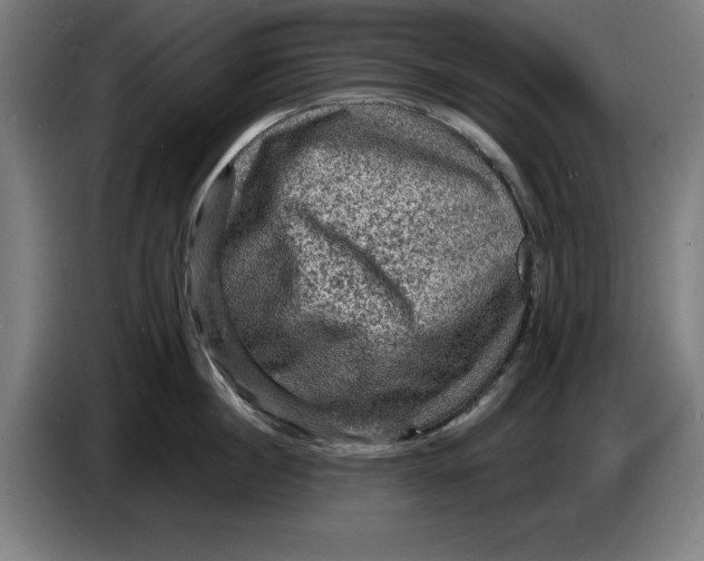 X0000085260860200703301831