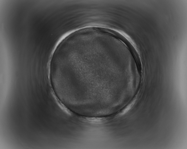 X0000085260862200703301831