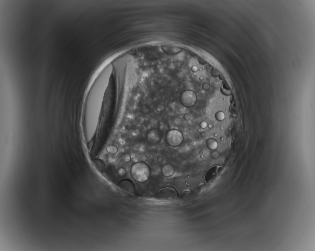 X0000085260863200703301831