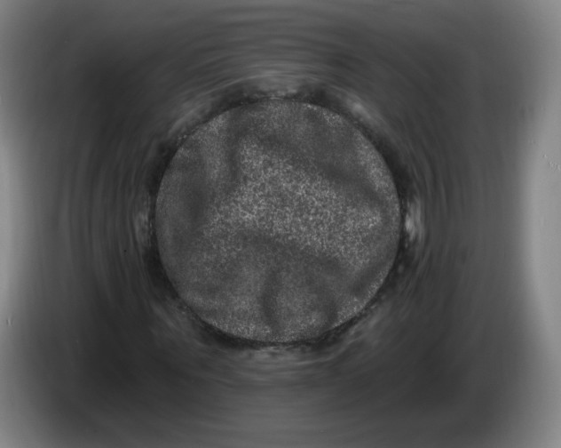 X0000085260867200703301830