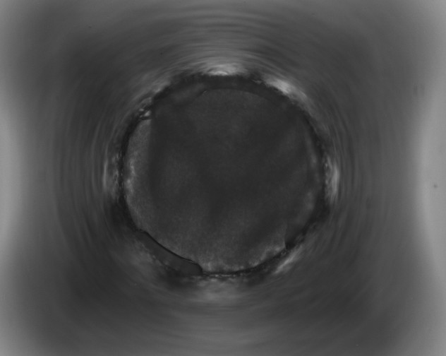 X0000085260868200703301830