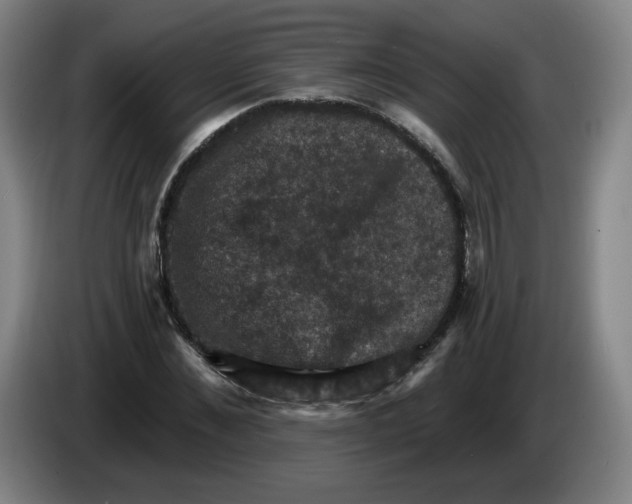 X0000085260876200703301830