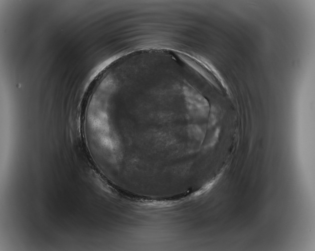 X0000085260877200703301830