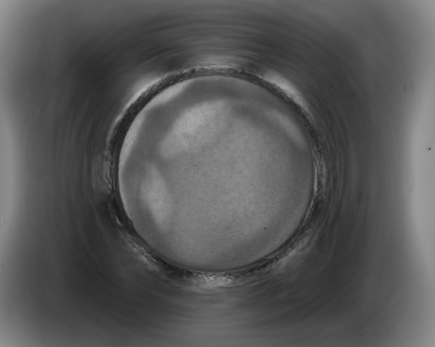 X0000085260878200703301830