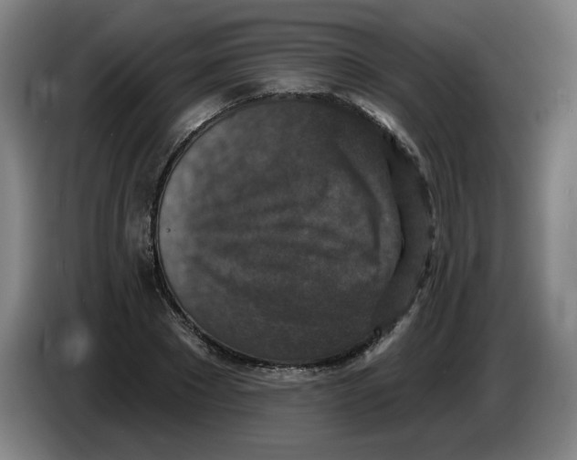 X0000085260881200703301830