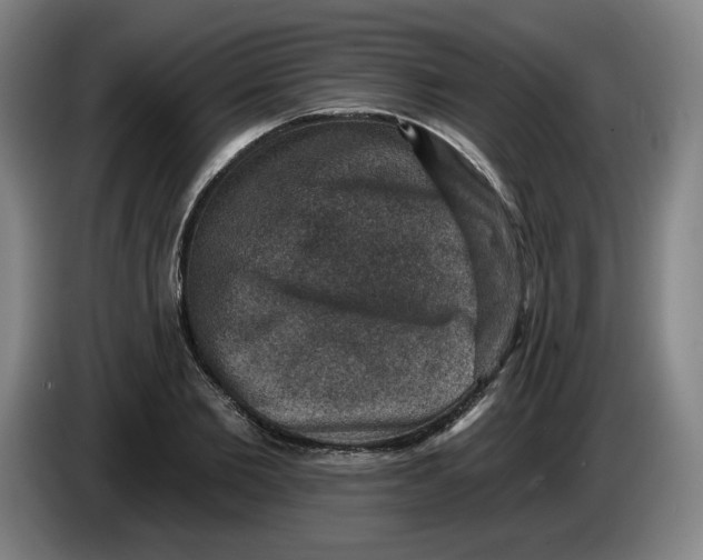 X0000085260885200703301830