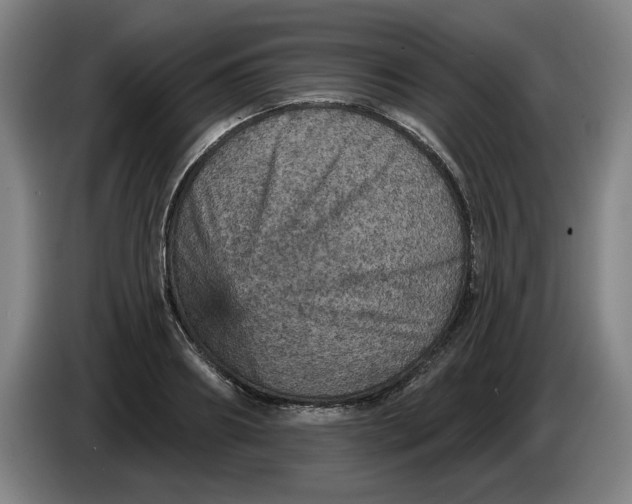 X0000085260890200703301830