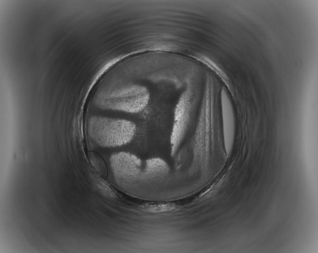 X0000085260891200703301830