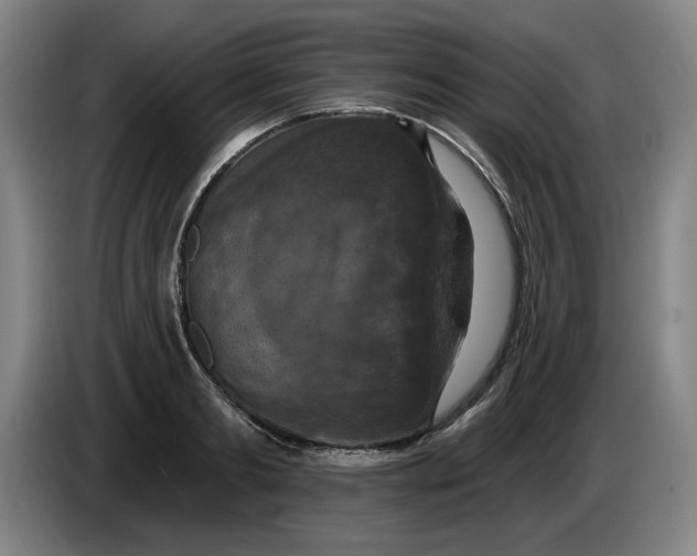 X0000085260893200703301830