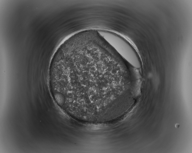 X0000085260895200703301830