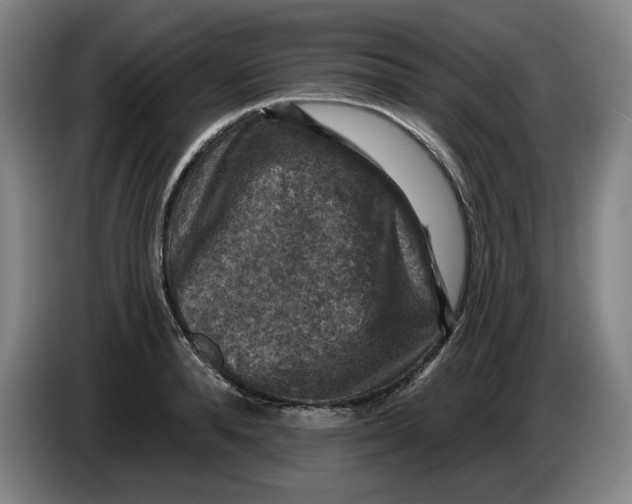 X0000085260896200703301830