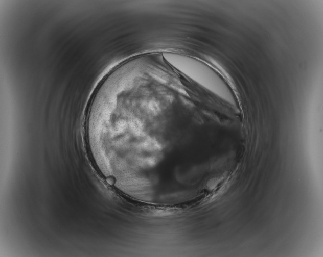 X0000085260899200703301830