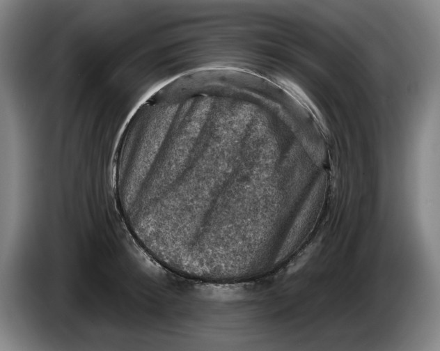 X0000085260900200703301830