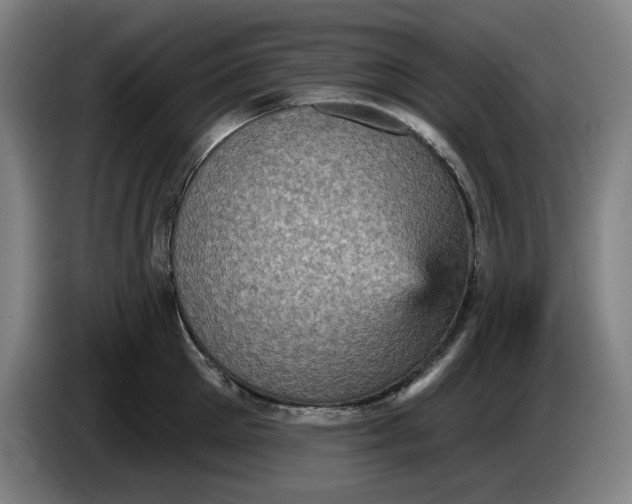 X0000085260905200703301830