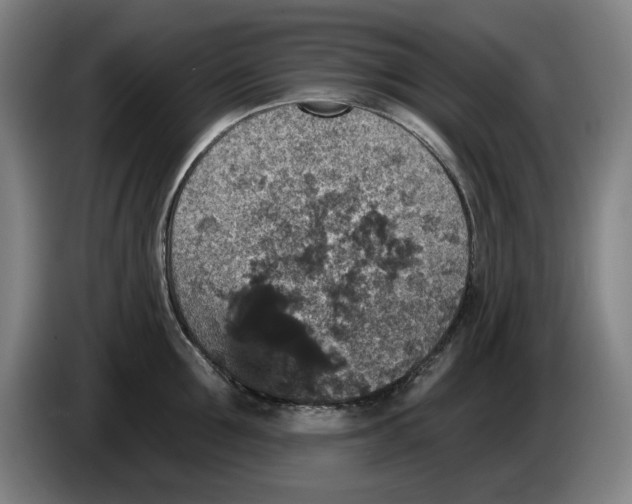 X0000085260907200703301830