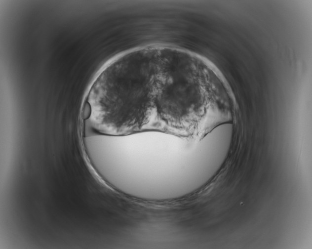 X0000085260911200703301830