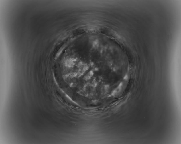 X0000085260913200703301829