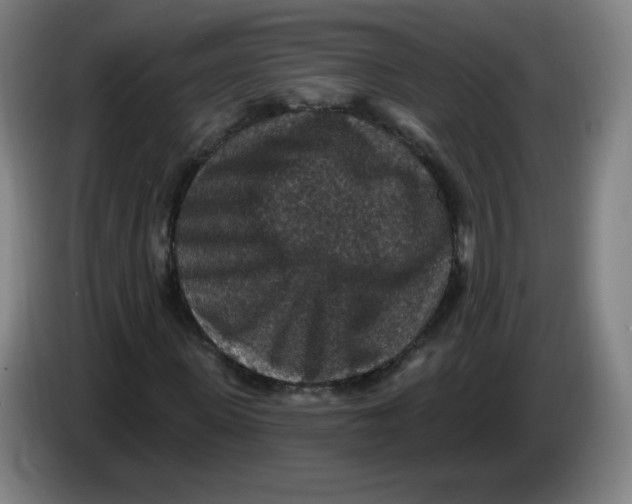 X0000085260915200703301829