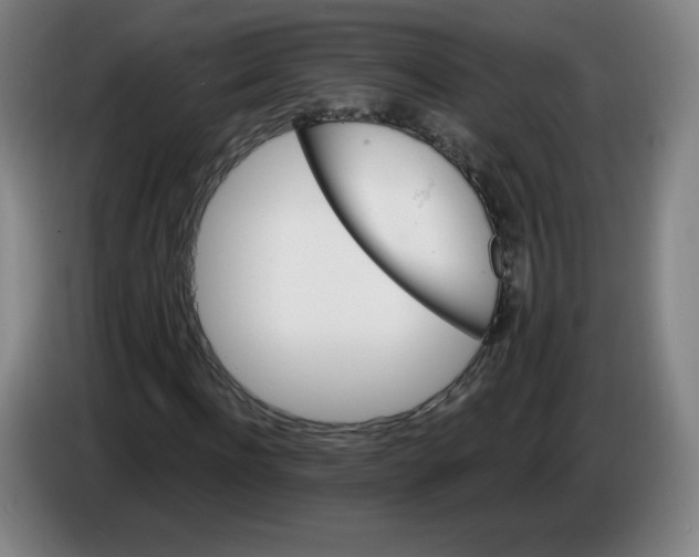 X0000085260916200703301829