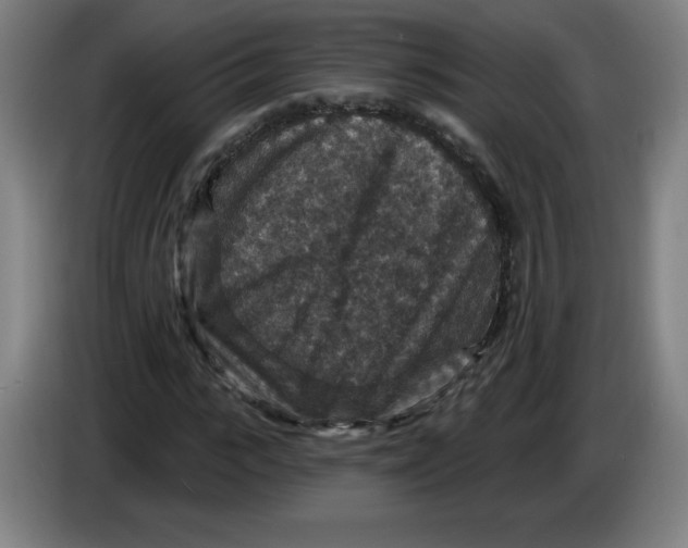 X0000085260919200703301829