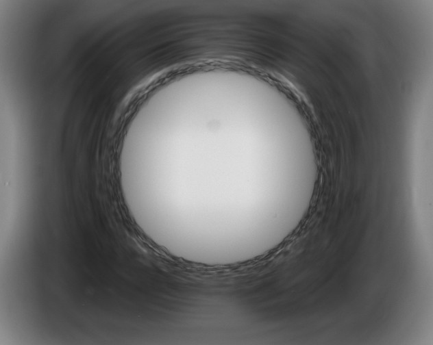 X0000085260920200703301829