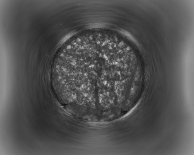 X0000085260921200703301829