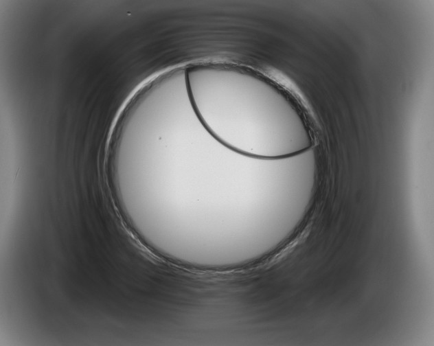 X0000085260924200703301829