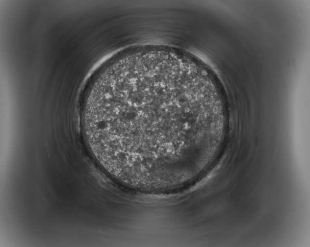 X0000085260925200703301829