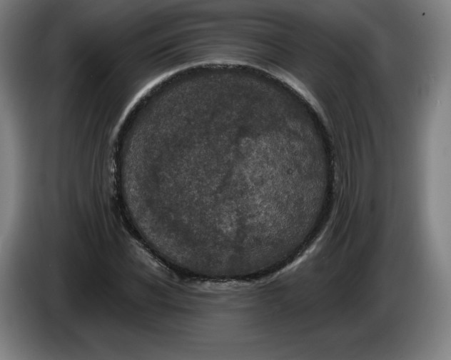 X0000085260926200703301829