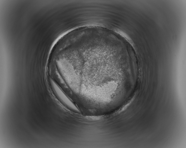 X0000085260928200703301829