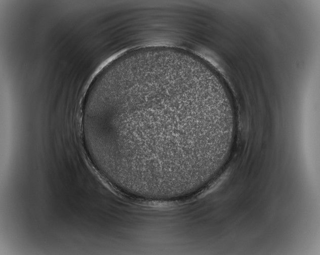 X0000085260933200703301829