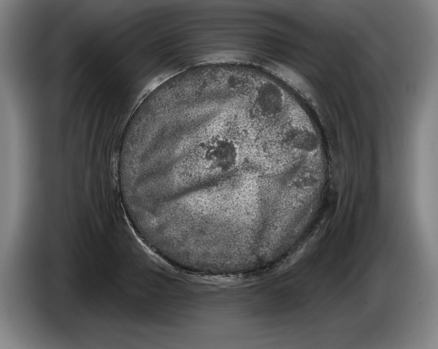 X0000085260937200703301829