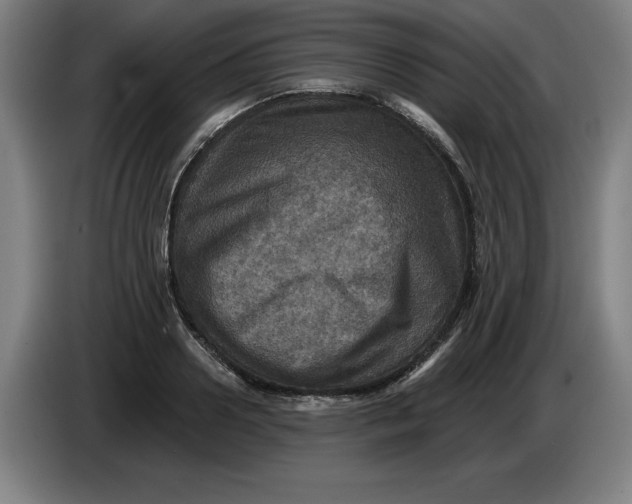 X0000085260938200703301829