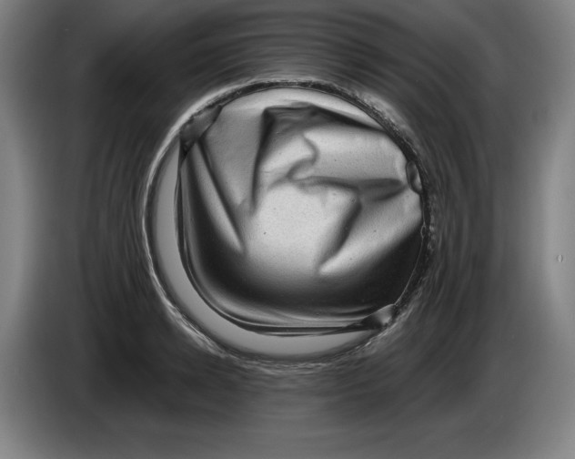 X0000085260942200703301829