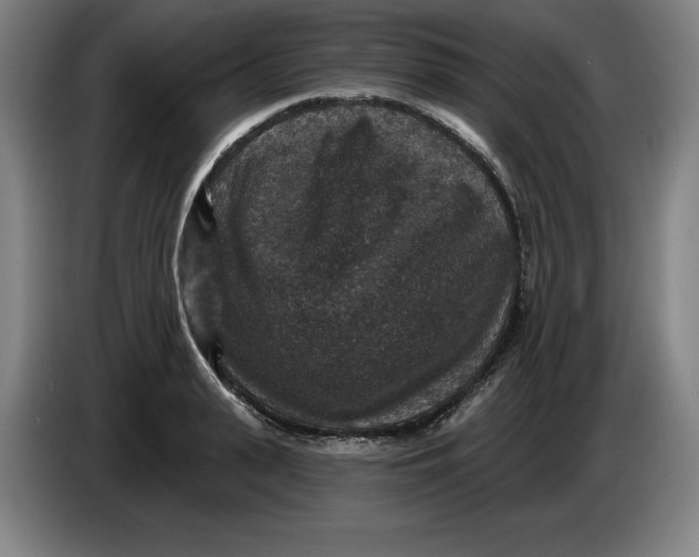 X0000085260943200703301829