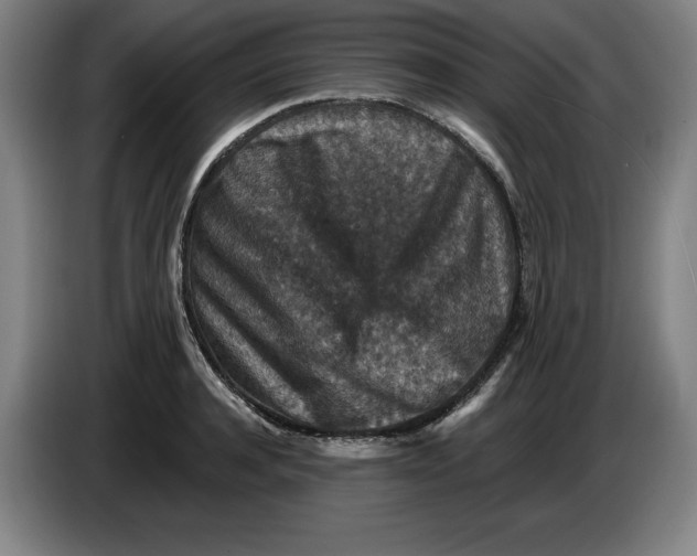 X0000085260944200703301829