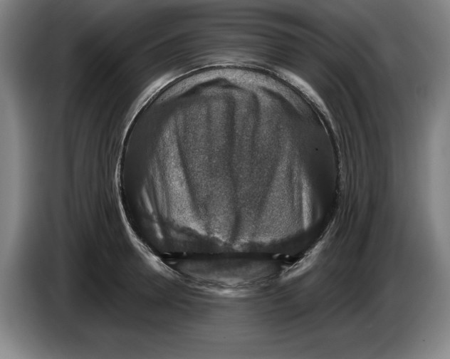 X0000085260946200703301829