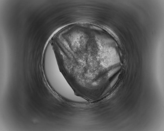 X0000085260948200703301829