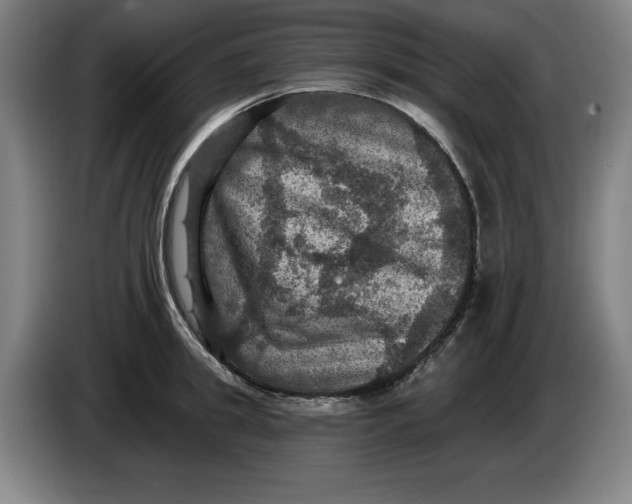 X0000085260949200703301830