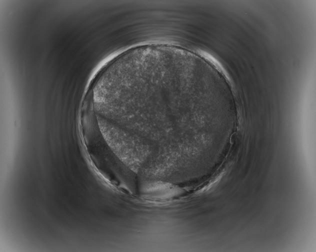 X0000085260952200703301830