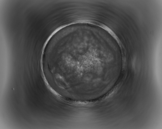 X0000085260955200703301830