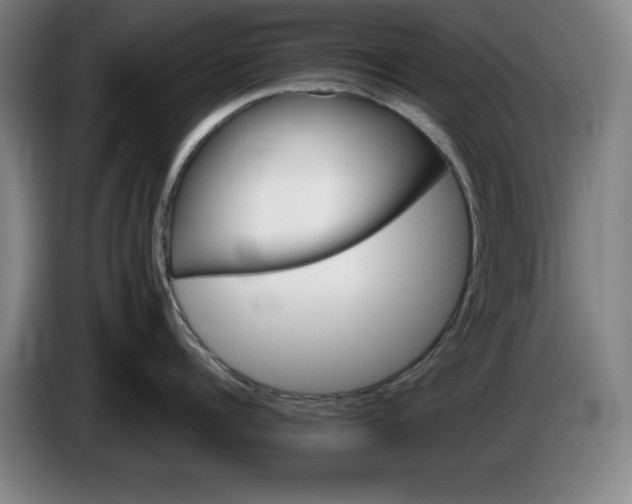 X0000085260960200703301830