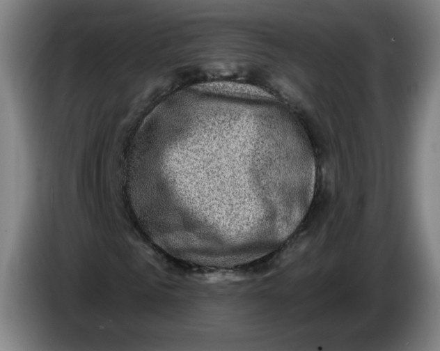 X0000085260961200703301829