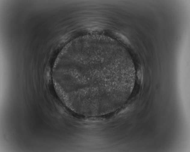 X0000085260963200703301829