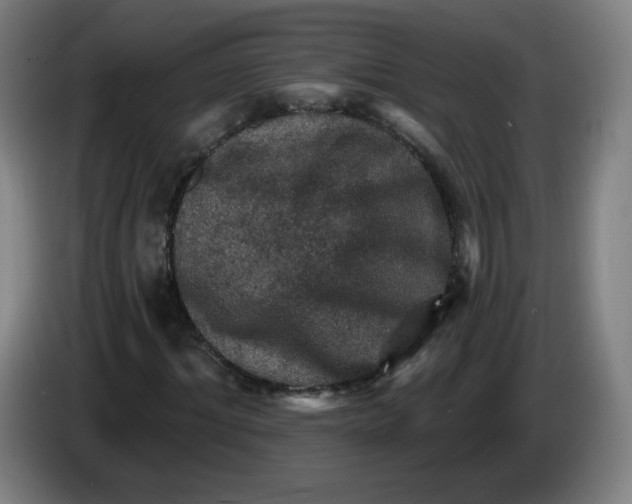 X0000085260964200703301829