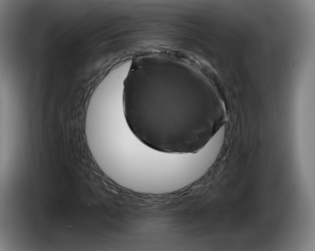 X0000085260965200703301829