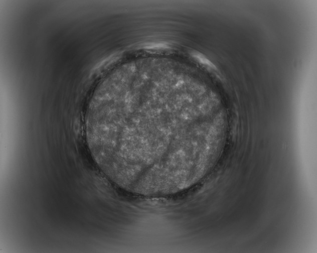 X0000085260966200703301829