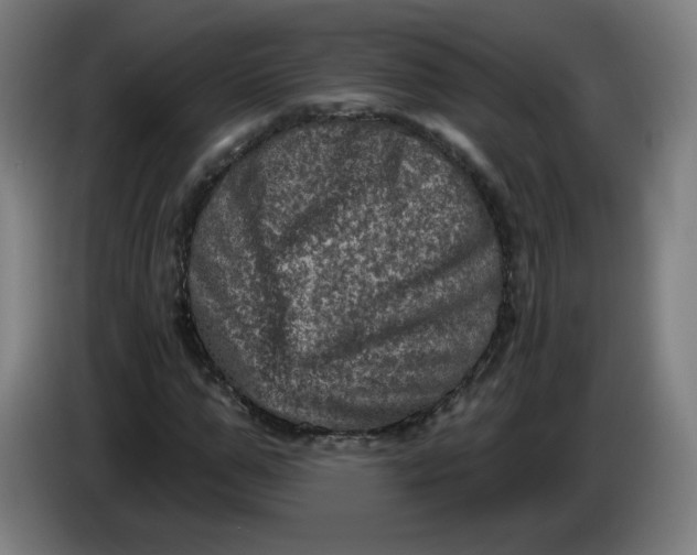 X0000085260967200703301829