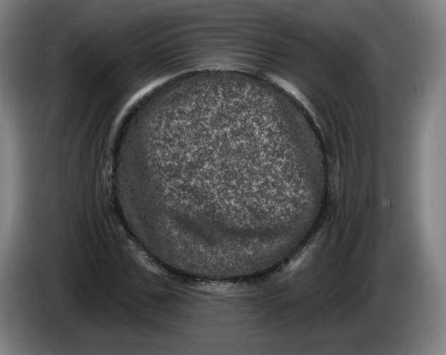 X0000085260971200703301829