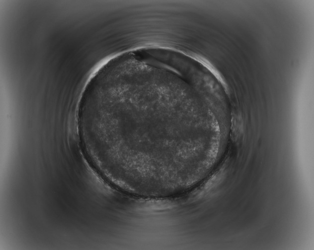 X0000085260972200703301829